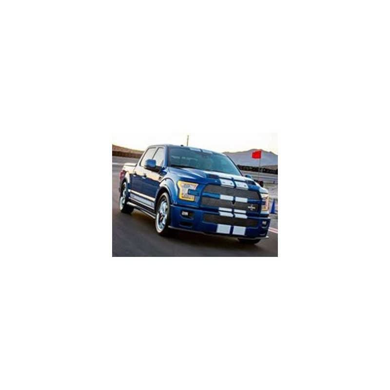 F150 4P (2009-ACTUEL)