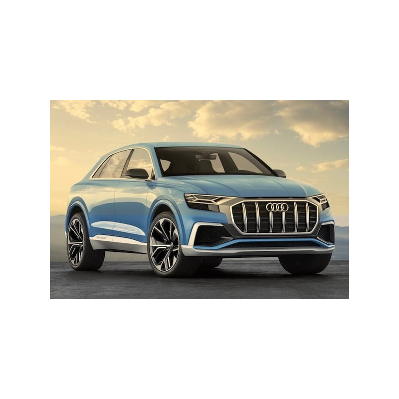  Audi Q8 5P (2019-ACTUEL)