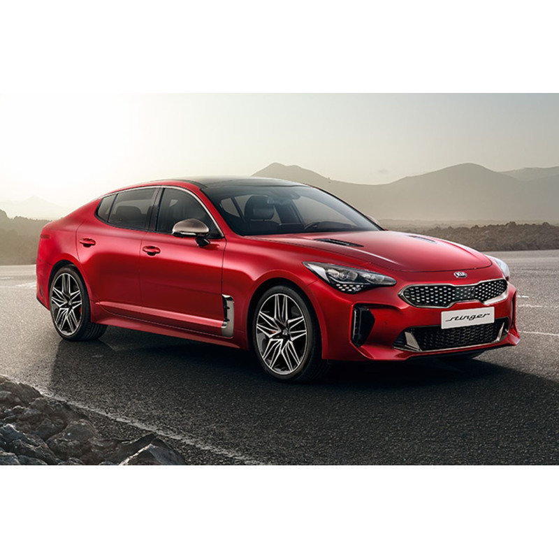 MONFILMTEINTE/FILM TEINTE/ STINGER 5P (2017-ACTUEL) 