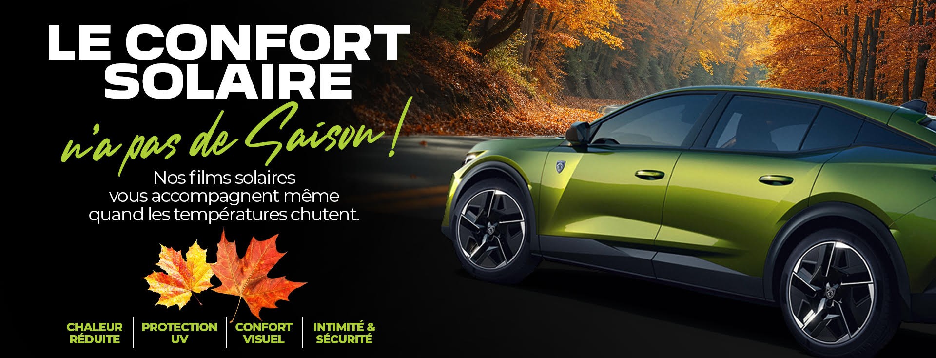 Film teinté automobile